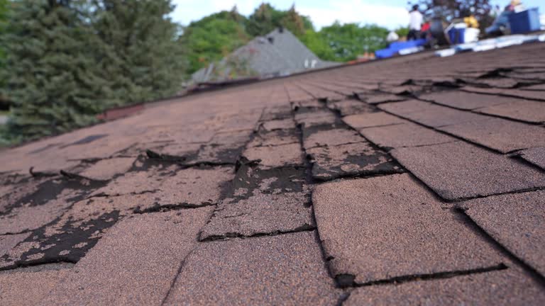 Best Skylight Installation and Repair  in Canton, OH